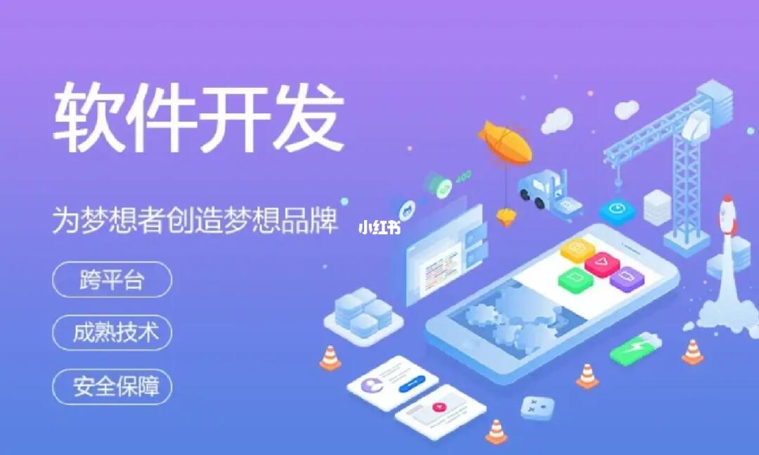 软件开发与软件定制 从概念到实践